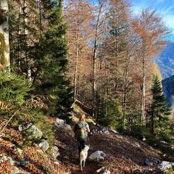 ..kehren wir um, und erreichen so..