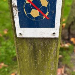 We see this a lot in places where the grass is taken care of and people sit and such. NO Football