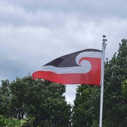 Die Flagge der Maori