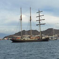 De Gulden Leeuw, Topfsegelschoner, Schiff von Friederike, die bald zu uns stößt