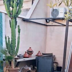 Restaurant über den Dächern von Marrakesch