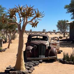 Canyon Roadhouse