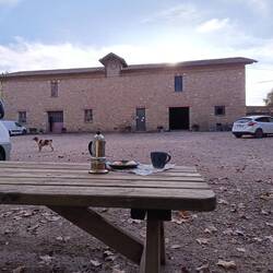 Entspanntes Frühstück auf dem Weingut