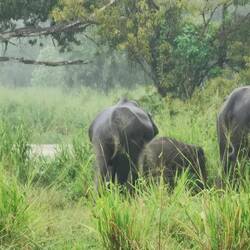 Ein kurzer Moment Sichtkontakt