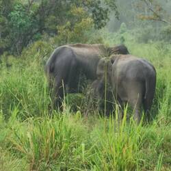 Das Baby ist in der Mitte