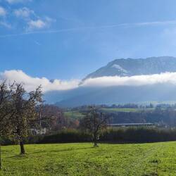Zimmer mit Aussicht 🙏😀