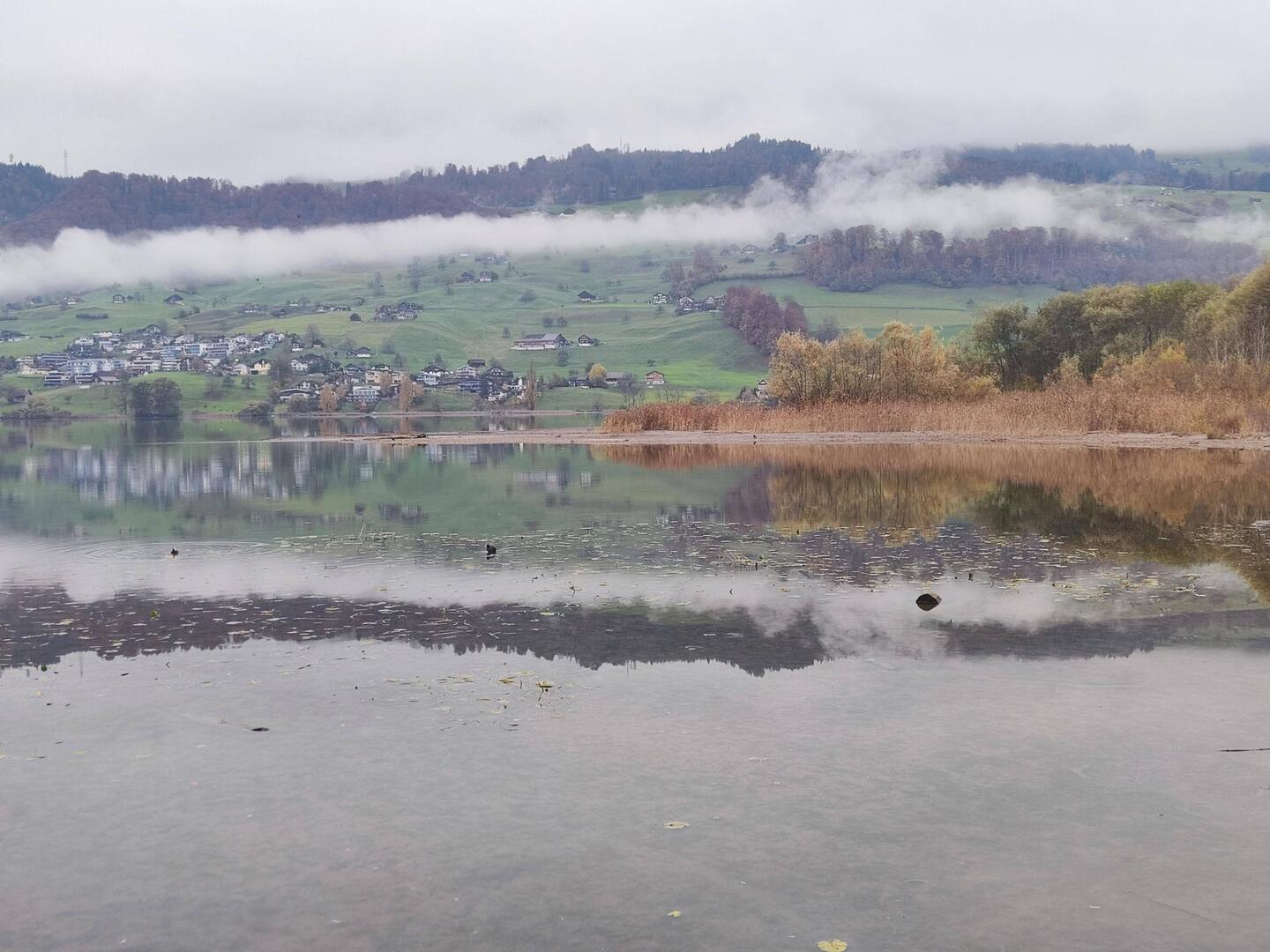 Diese Woche am Sarnersee 👣