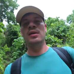 Bei tropischen Temperaturen nass geschwitzt