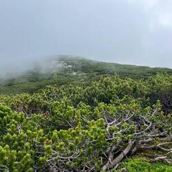 Spätestens am Gipfel des Lagelsbergs sind wir uns..