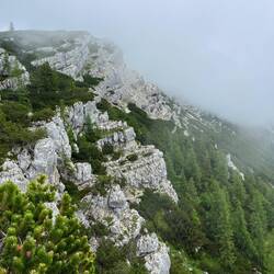 ..aber zumindest ein klein wenig Aussicht zu.