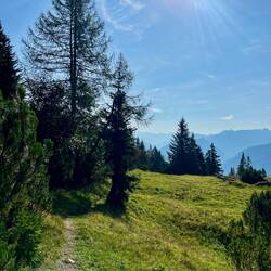 ..laufen gekonnt daran vorbei, ehe..