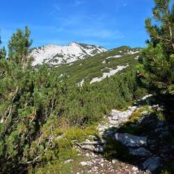 In der Haselwaldgasse wird es trotz..