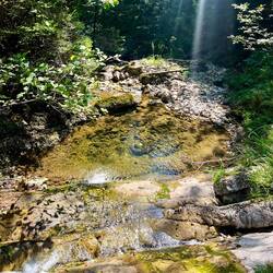 ..sich eine deutliche Erfrischung findet.
