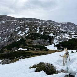 Für den restlichen Weg aufs Warscheneck müssen wir jedoch..