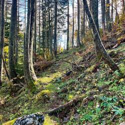 ..fürs Erste auf den rutschigen Abstieg.