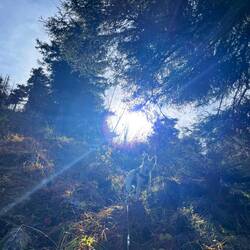 Die Sonne blinzelt uns dabei die volle Zeit entgegen, sodass..