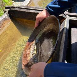 Gold schürfen in Shanty Town