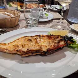 Gestern, Camarao tigre- leider etwas zu lange gegrillt 😏