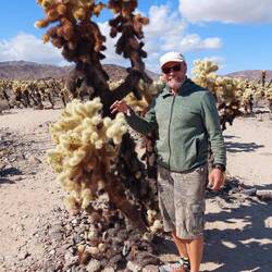 Cholla Cactus Garden