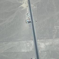 The lizard, sliced in two by the highway!