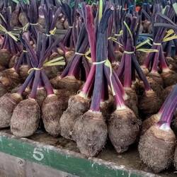 Presented with pride