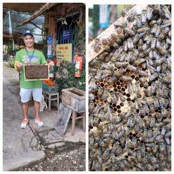 Our tour guide, Quang / Bees