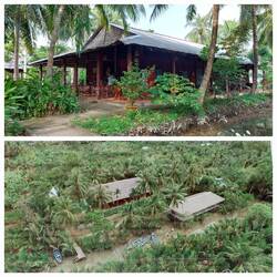 Ba Danh homestay; side view / aerial view