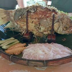 Lunch; Elephant Ear Fish