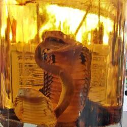Snake Liquor