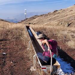 Für den einen eine Futtertränke...