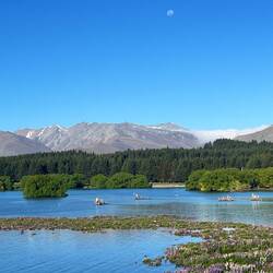 Lake Tekapo