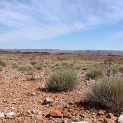 Landschaft war auch dabei