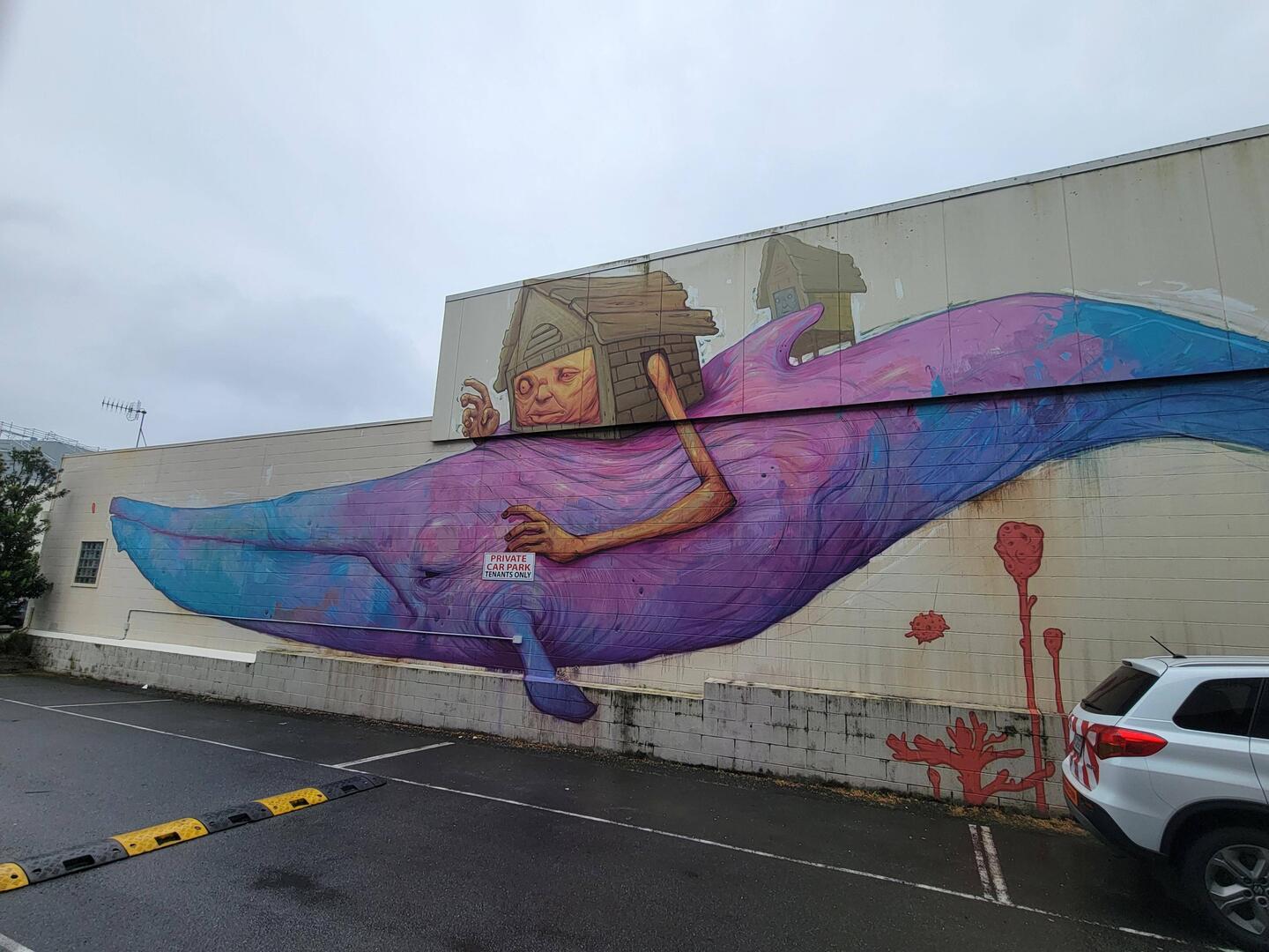 Graffitis in Napier...
