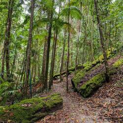 Eine tolle Wanderung beim verlassenen Campingplatz