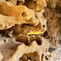 Um ehrlich zu sein, kenne ich mich..