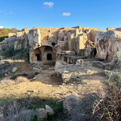 Am ganzen Areal lassen sich..