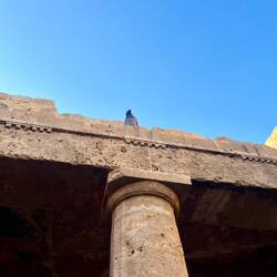 ..Welt einzutauchen.