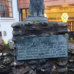 Towser le chat au Guiness des records pour les 28890 souris chassées