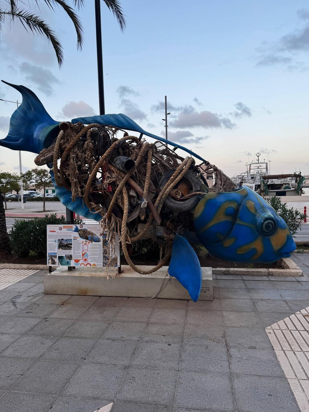 So sieht es wohl im Bauch vieler Fische aus