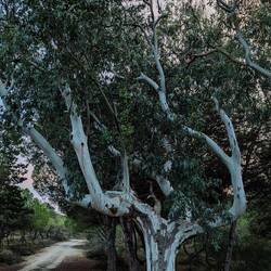 düstere Stimmung, aber schön