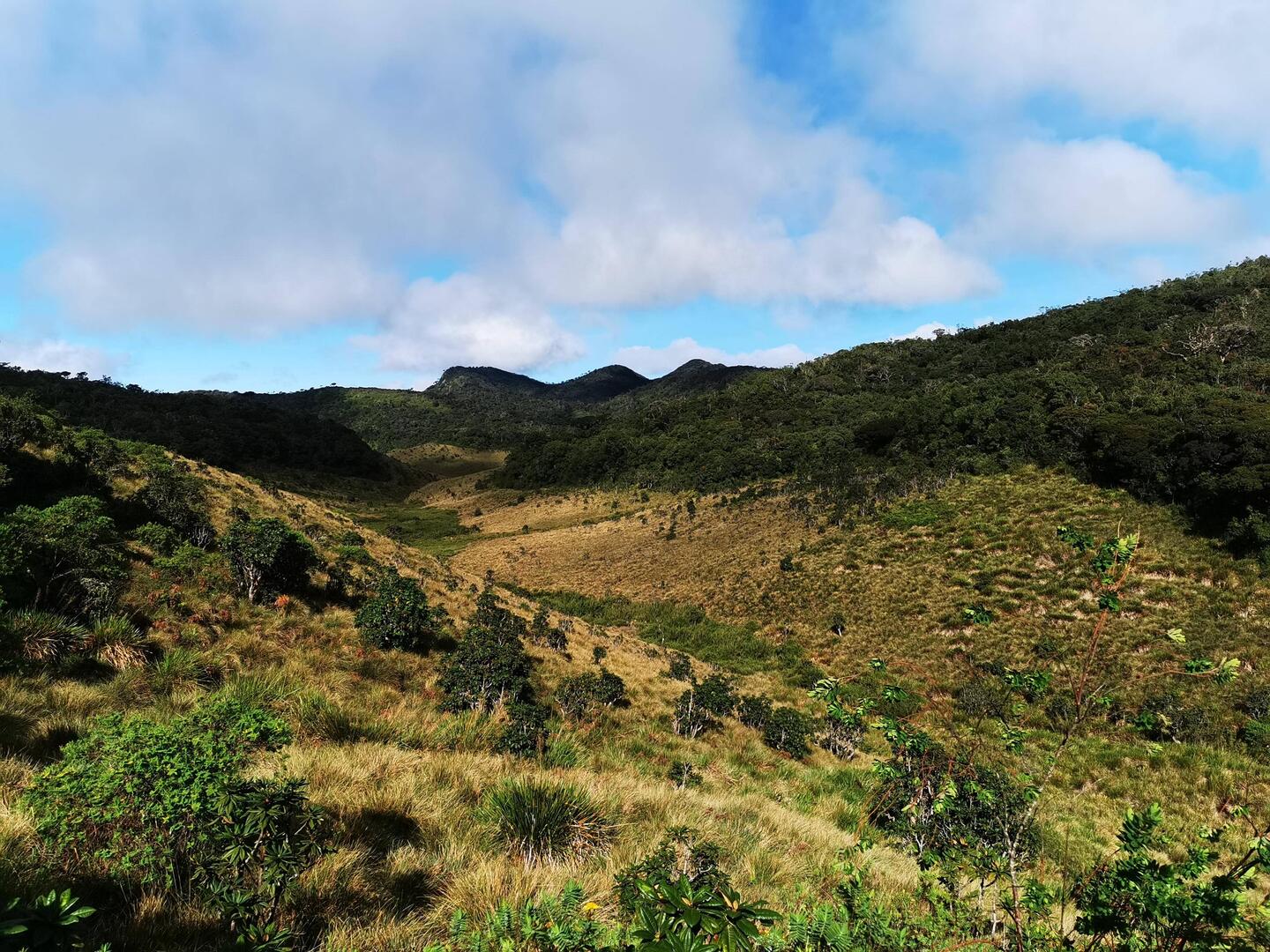 Horton Plains Nationalpark