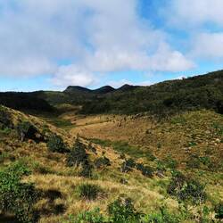 Horton Plains Nationalpark