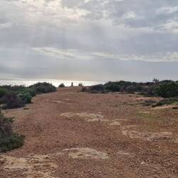 Ich hätte hier ewig spazieren gehen können. ❤️