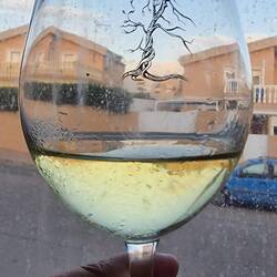 Und jetzt geht's heim, ein wenig abhängen. 🥳