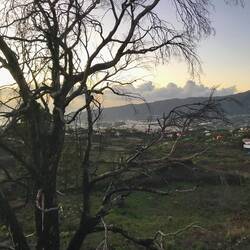 Blick auf Los Llanos von El Paso.
