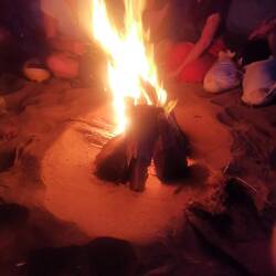 Palmen sind ideal zum Feuer machen geeignet