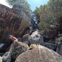 (mw) Perhaps I should have helped . . . 🤔