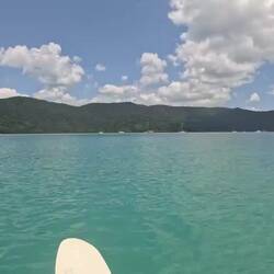 Returning to Shute Harbor