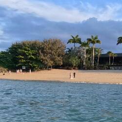Photo bombed wedding picture