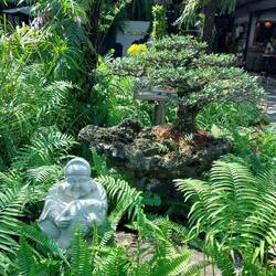 Garden at the coffee stop en route to Ho Chi Minh City